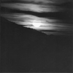 欧美HD色情仓库
